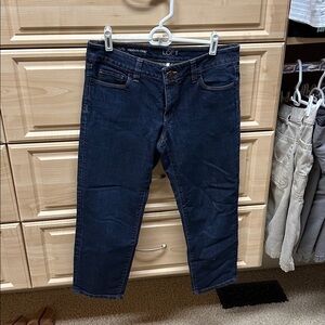 LOFT Indigo Denim Pants